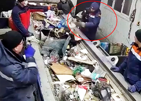 2020 Escuela De Nada Salva La Navidad 2020 Escuela De Nada Salva La Navidad