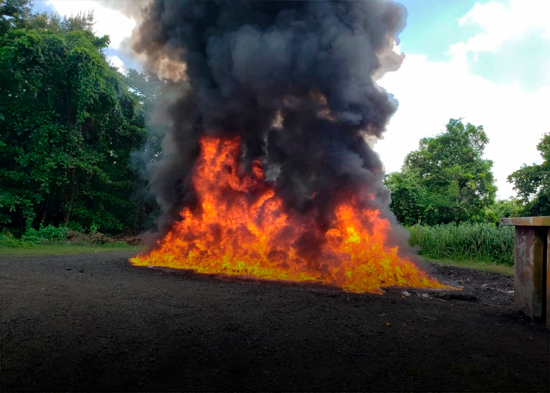 PGR incinera más de 1,060 kilogramos de distintas drogas