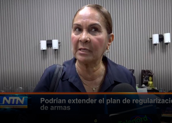 Podrían extender el plan de regularización de armas