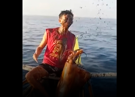 La venganza del calamar: un pescador en Filipinas termina bañado en tinta (VIDEO)