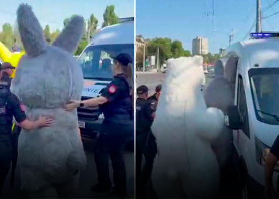 "¡Libertad para Pokémon!": Policía moldava arresta a Labubu, Pikachu y un 'oso'