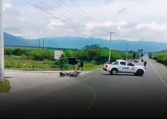 Agentes del Dicrim disparan a presunto ladrón en Azua