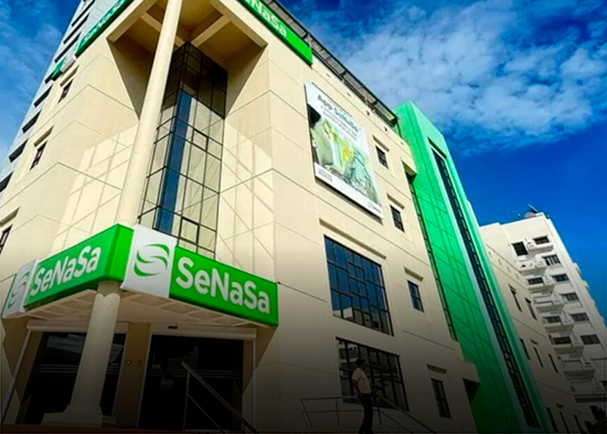 Nuevo consejo consultivo reforzará controles Senasa