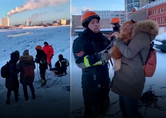 Rescatistas salvan a un perro de morir congelado