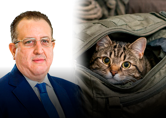 Editorial de NTN: “Gato entre macuto”