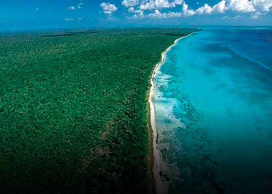 Coalición por los Bosques pide anular sentencia que reduce el Parque Nacional Jaragua