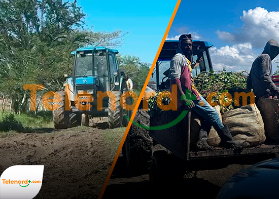 Entre lodo y tractores: productores luchan para sacar sus cosechas en Aguayo