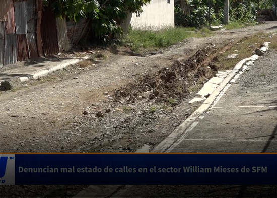 Denuncian mal estado de calles en el sector William Mieses de SFM