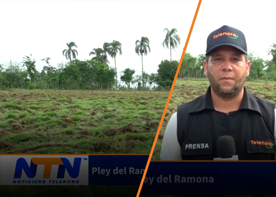 Pley del Ramona