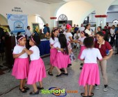 IMG 4515 IMG 4515