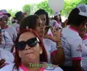 Telenord00 97 Telenord00 97