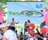 Telenord00 211 Telenord00 211