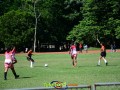 DSC 4115