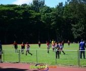 DSC 4137 DSC 4137