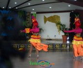 DSC 6633 DSC 6633