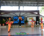 DSC 6665 DSC 6665