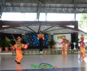 DSC 6666 DSC 6666