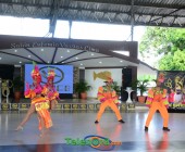 DSC 6595 DSC 6595