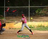 DSC 8038 DSC 8038