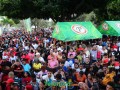 DSC 7882