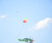 Telenord136 Telenord136