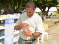 Image00030