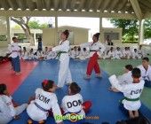 Image00048 Image00048