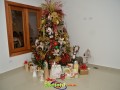Image00027