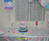 Telenordcomdo00001