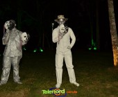 Telenordcomdo00001