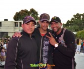 Telenordcomdo00015