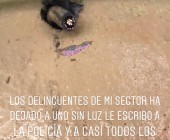 WhatsApp Image 2020 03 28 at 5.05.30 PM