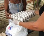 WhatsApp Image 2020 04 05 at 10.08.35 PM