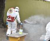 WhatsApp Image 2020 04 12 at 3.38.48 PM