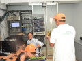 Telenordcomdo00005