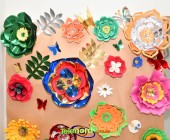 Image00001 Image00001