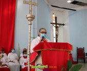 Telenord00032 Telenord00032
