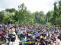DSC 5239