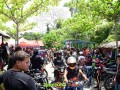 DSC 5255