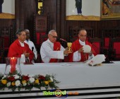 Telenord00043 Telenord00043