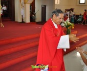Telenord00044 Telenord00044