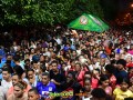DSC 4953