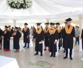 telenord00039 telenord00039