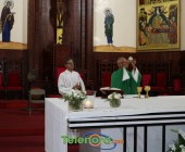 IMG 4172 IMG 4172