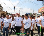 telenord08110 telenord08110