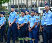telenord00098 telenord00098