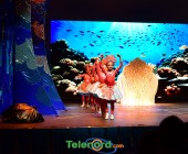 telenord039 telenord039