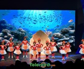 telenord059 telenord059