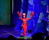 telenord099 telenord099