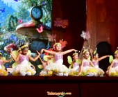telenord326